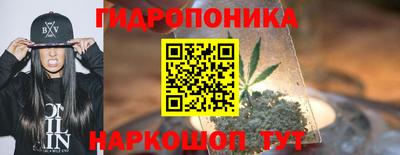 ГАЛЛЮЦИНОГЕННЫЕ ГРИБЫ Свободный