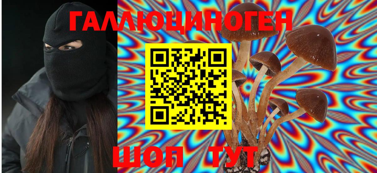Псилоцибиновые грибы мицелий Ноябрьск